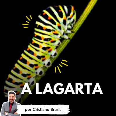 Minutos de Sabedoria