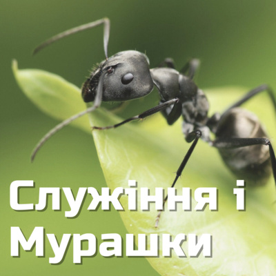 Служіння і мурашки