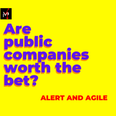 Are public companies worth the bet?