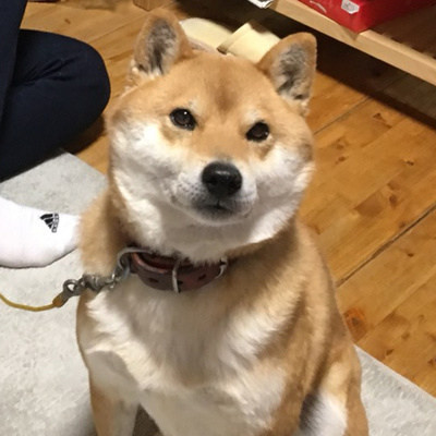 Japanese with K