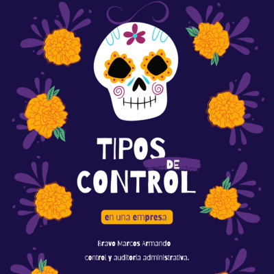 Tipos de control de una empresa Tipos de control de una empresa