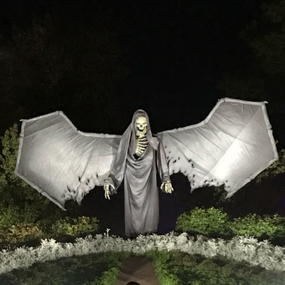 My lecture from the Mothman Festival