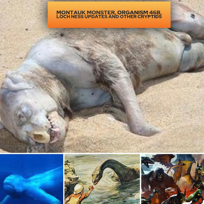 Organism 46-B, the Montauk Monster, Loch Ness updates and other strange Cryptids