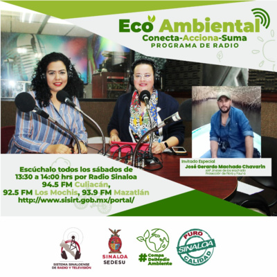 ECOAMBIENTAL SINALOA