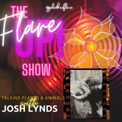 The Flare Up Show