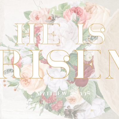 Matthew 28:1-15 - He is Risen  episode artwork