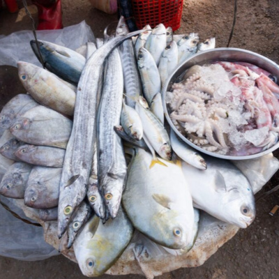 More affordable aquatic foods could prevent 166 million micronutrient deficiencies worldwide