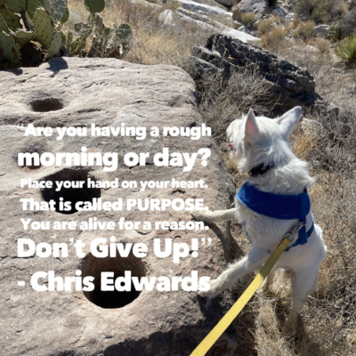 Daily Affirmation for 4/9/2021 – 28 Days A Habit, 90 Days A Lifestyle Author Chris Edwards