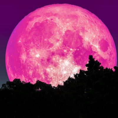 April Full Moon 2021: ‘Super Pink Moon’ Pink supermoon is the first and one of only two supermoons of 2021.