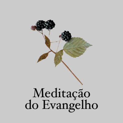 Comunidade dos Viventes