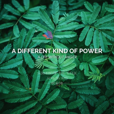 Sermons of the Week | A Different Kind of Power - Life Without Anger | April 24 2022