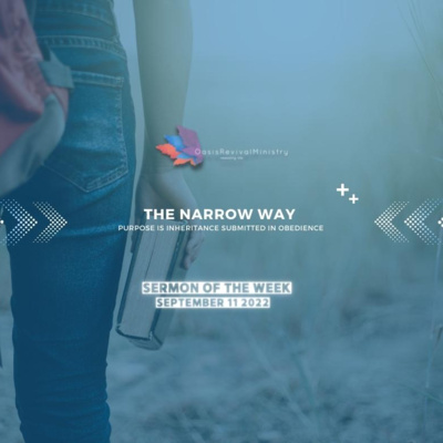 Daniel McGeer | The Narrow Way | September 11 2022 episode artwork