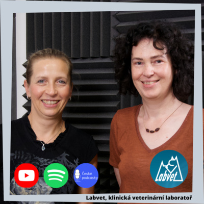 LABVET PODCAST, pro pejskaře a jejich psy, chovatelské stanice, kynologické kluby