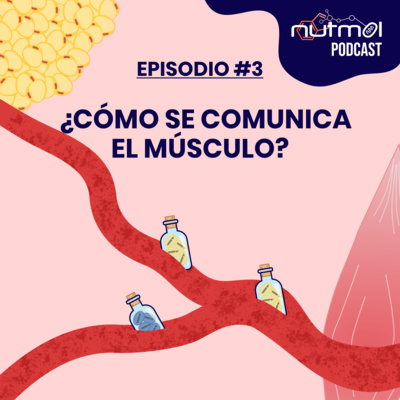 Nutmol Podcast