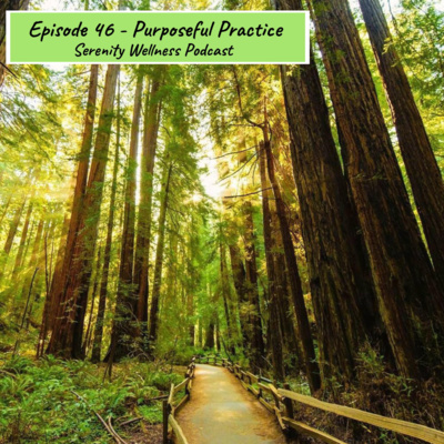Episode - 46 - Purposeful Practice episode artwork