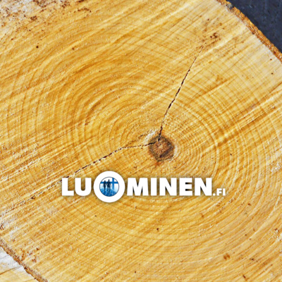 luominen.fi