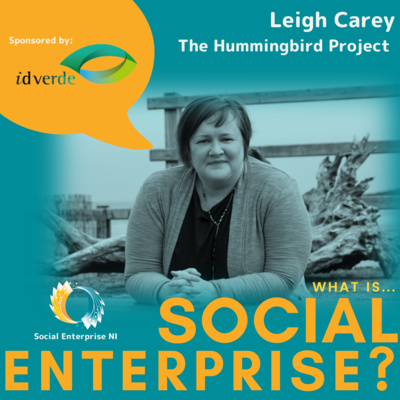 The Hummingbird Project - Leigh Carey