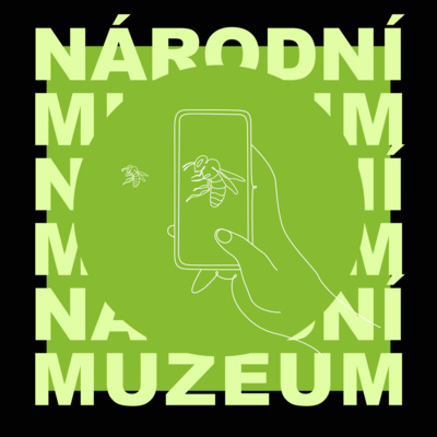 Tajemství Národního muzea