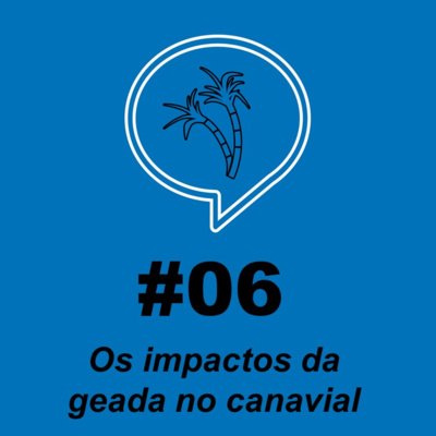 Papo de Canavial