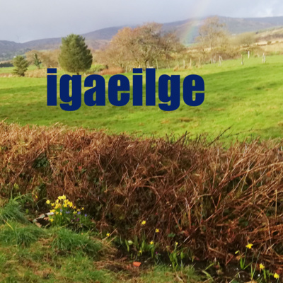 iGaeilge