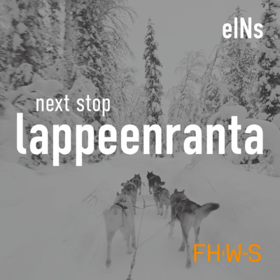 next stop: lappeenranta - Jonas über Nordlichter, riesige Seen und skandinavische Landschaften