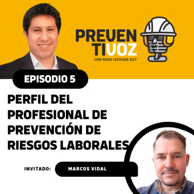 Perfil del profesional de prevención de riesgos laborales / Seguridad y Salud en el Trabajo