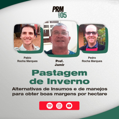 Pecuária PRM — Conteúdo Exclusivo