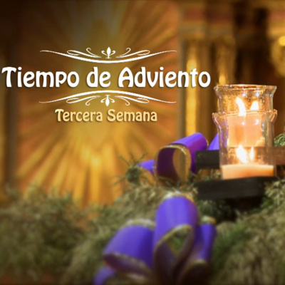 Catedral de Buenos Aires. Santa Misa del domingo 11 de Diciembre. 3º Domingo de Adviento episode artwork