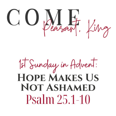 Psalm 25:1-10 // Hope Makes Us Not Ashamed episode artwork