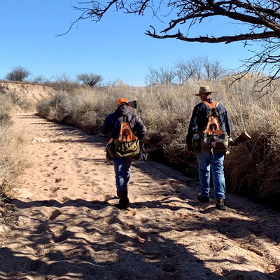 Jan 2020 Mearns, Blues, and Gambels Quail Hunting. New Ideas, Pitfalls, Problems