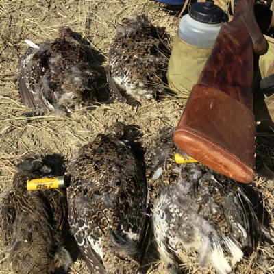 Cleaning, Transporting, Cooking Gamebirds