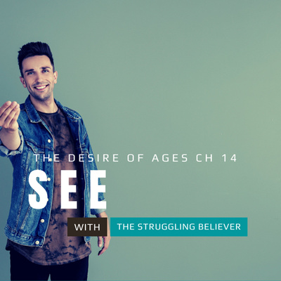 The Struggling Believer