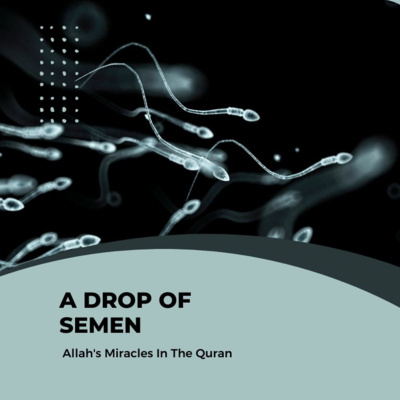 Video 8 - Scientific Miracles in the Quran: A drop of semen. episode artwork