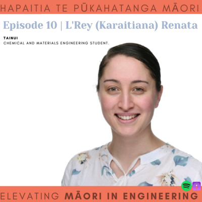 Māori in Engineering