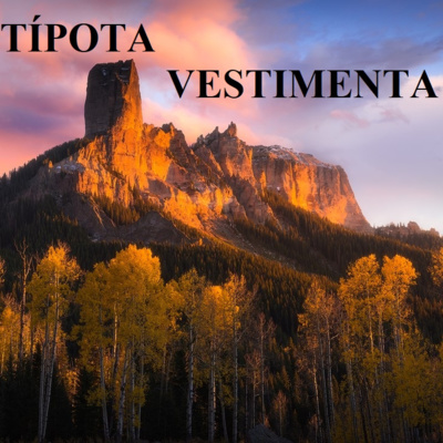 TÍPOTA #14 - Vestimenta