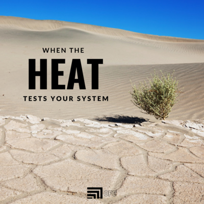 When The Heat Tests Your System - David Garza episode artwork