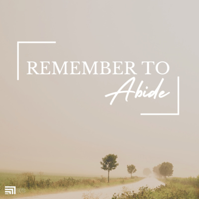 Remembering To Abide - Sam Harris episode artwork