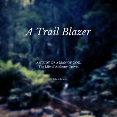 A Trail Blazer by Edwin Fesche