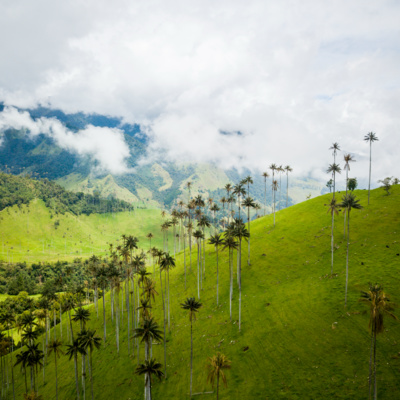 Portada de Artesanías de Colombia