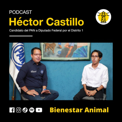 Distrito Regio