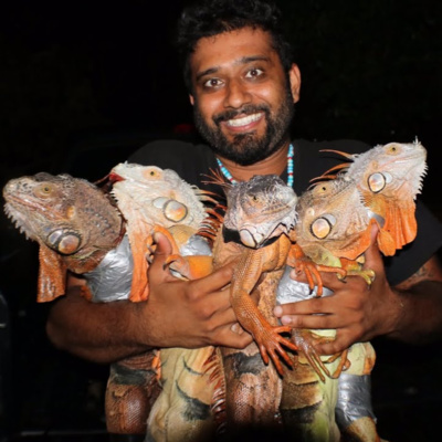 Episode 79 Iguana 101 (Feat. Iguana Man)