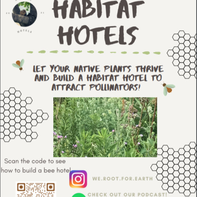 We Root for Earth Episode 25: Habitat Hotels Workshop