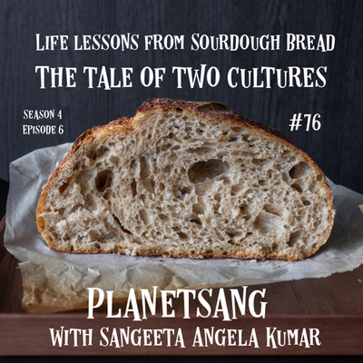 Life Lessons from Sourdough Bread : tale of two cultures S04E06 (#76)