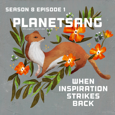 When Inspiration Strikes Back S08E01 #113