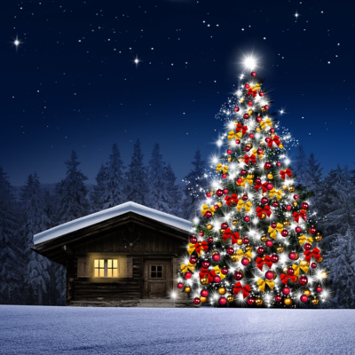 HoHoHo🎅 Ich bin wieder back und reagiere auf Weihnachts Fails☺🥳❤️‍🔥🫡