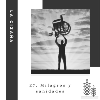 E7. Milagros y sanidades