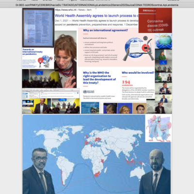 VERDADES DE SÍNDEMIA del Doctor Bee