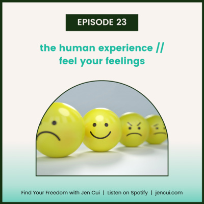 023. the human experience // feel your feelings