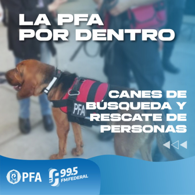 FM FEDERAL 99.5