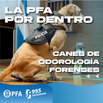 FM FEDERAL 99.5